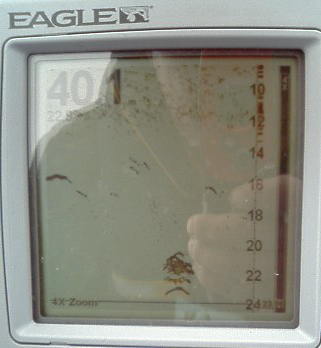 EAGLEの魚影画面